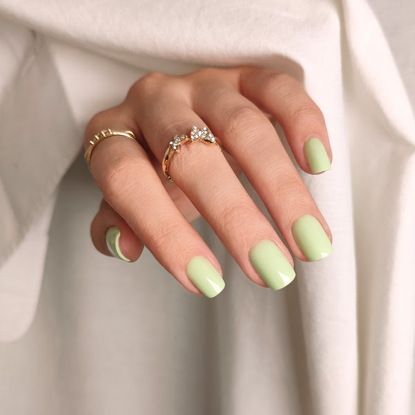 Mint